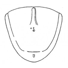 Achterklep 8.64-7.66