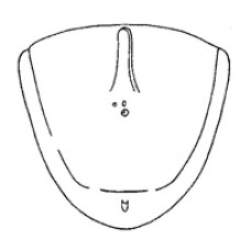 Achterklep 8.64-7.66